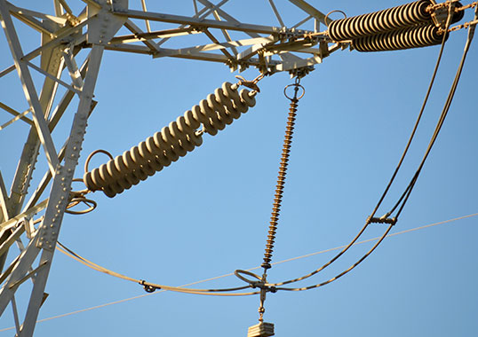 Naked Hands Suspended Overhead Images Telegraph