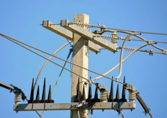 Protecting Overhead Lines & Substations from Wildlife Induced Outages